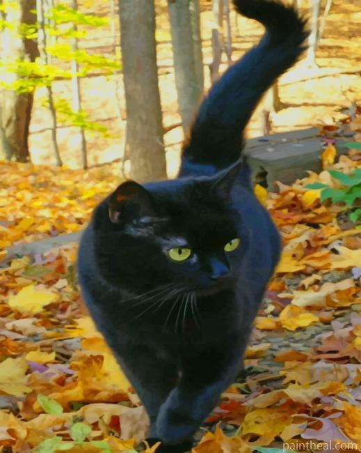 Black Cat Autumn Leaves Painting By Numbers Kits