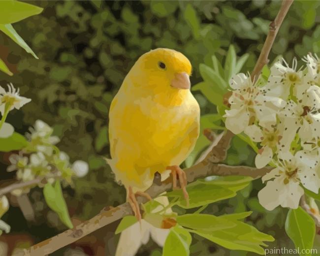 Canary Bird And Flower Painting By Numbers Kits