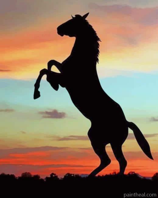 Silhouette Of A Horse Painting By Numbers Kits