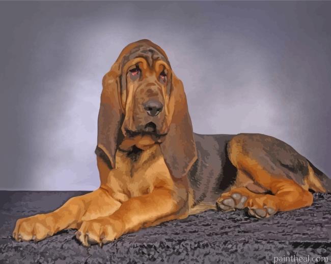 Bloodhound Dog Animal Painting By Numbers Kits