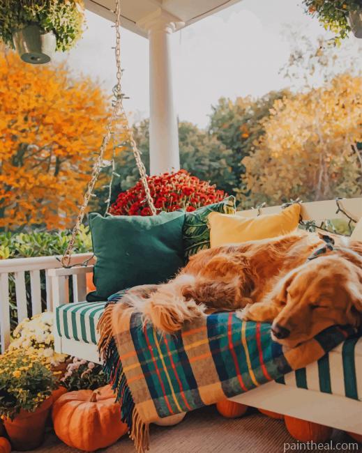 Golden Retriever On A Porch Swing Painting By Numbers Kits