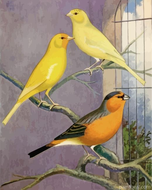 Domestic Canary Painting By Numbers Kits