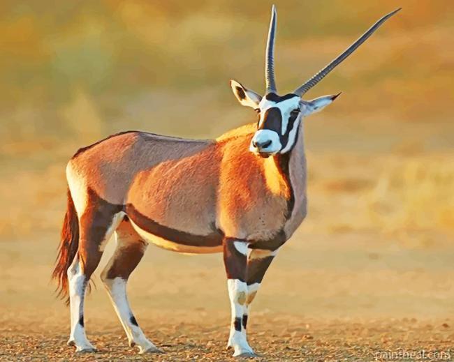Beautiful Gemsbok Animal Painting By Numbers Kits
