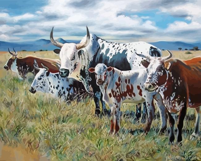 South Africa Nguni Painting By Numbers Kits