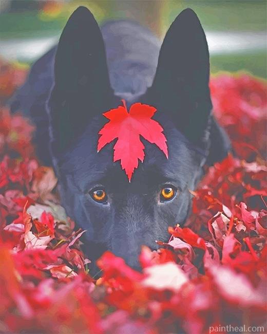 Black Dog In leaves Painting By Numbers Kits
