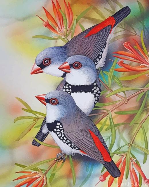 Old World Flycatchers Painting By Numbers Kits