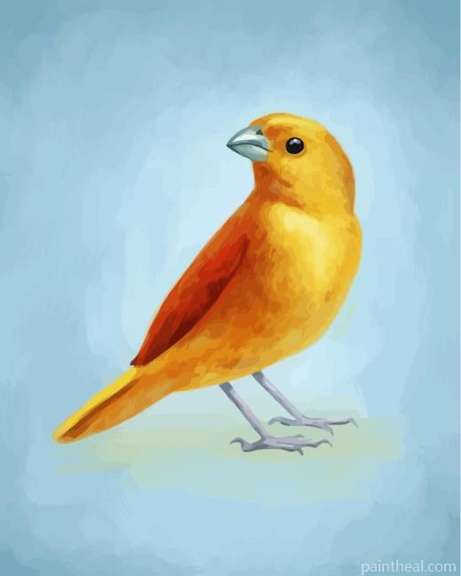 Domestic Canary Bird Painting By Numbers Kits