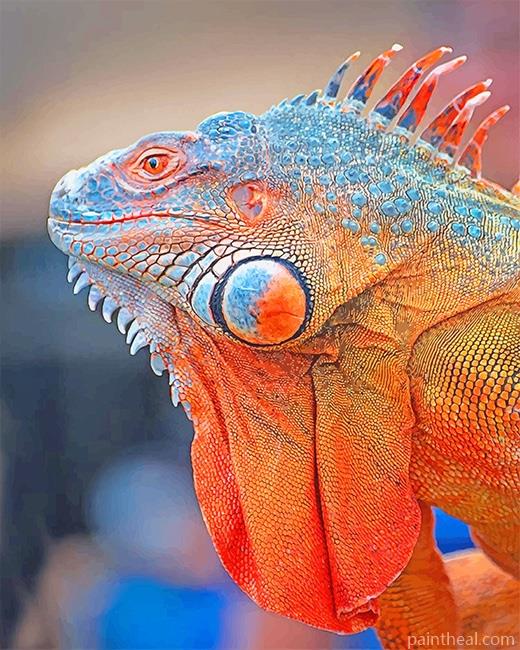 Colorful Iguana closeup Painting By Numbers Kits