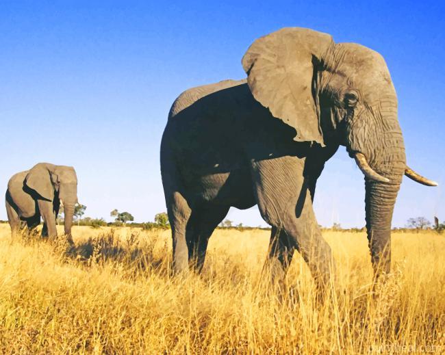 Elephant Mother With Her Calf Painting By Numbers Kits