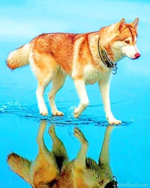 Siberian Brown Husky Painting By Numbers Kits