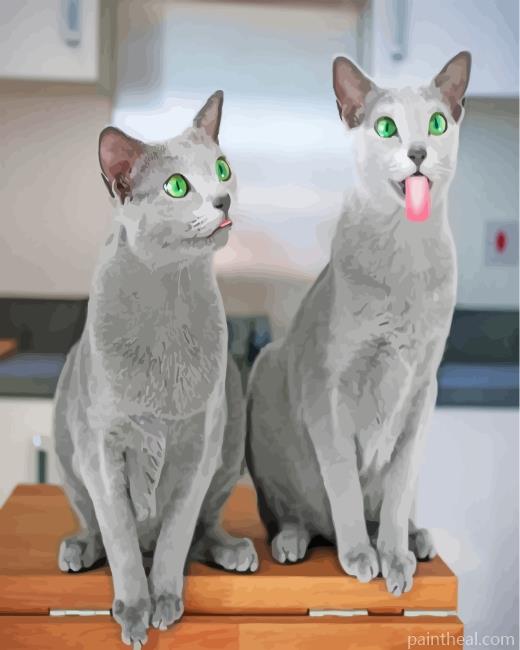 Funny Russian Blue Cats Painting By Numbers Kits