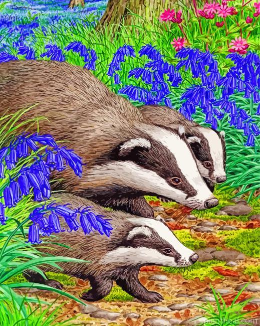 Badgers Animals Painting By Numbers Kits