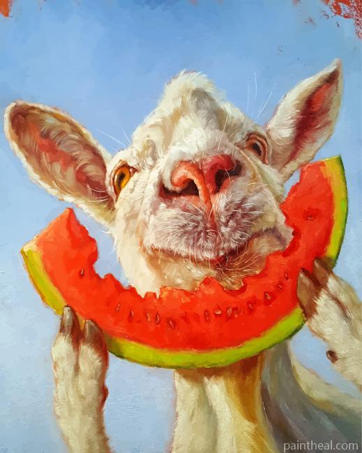 Cow And Watermelon Painting By Numbers Kits