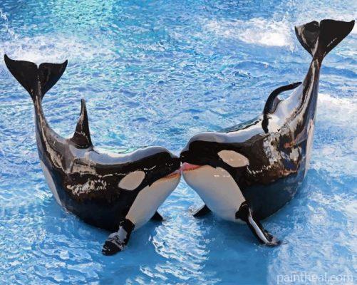 Killer Whales Painting By Numbers Kits