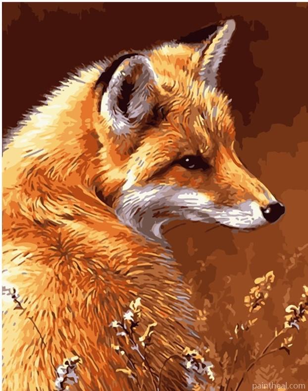 Wild Fox Animals Painting By Numbers Kits
