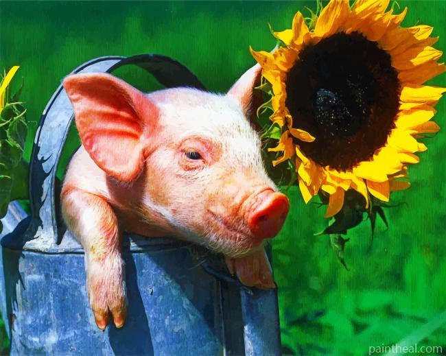 Aesthetic Pig And Sunflower Painting By Numbers Kits