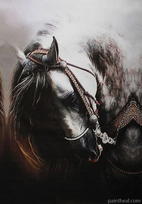 Arabic Horse Animals Painting By Numbers Kits