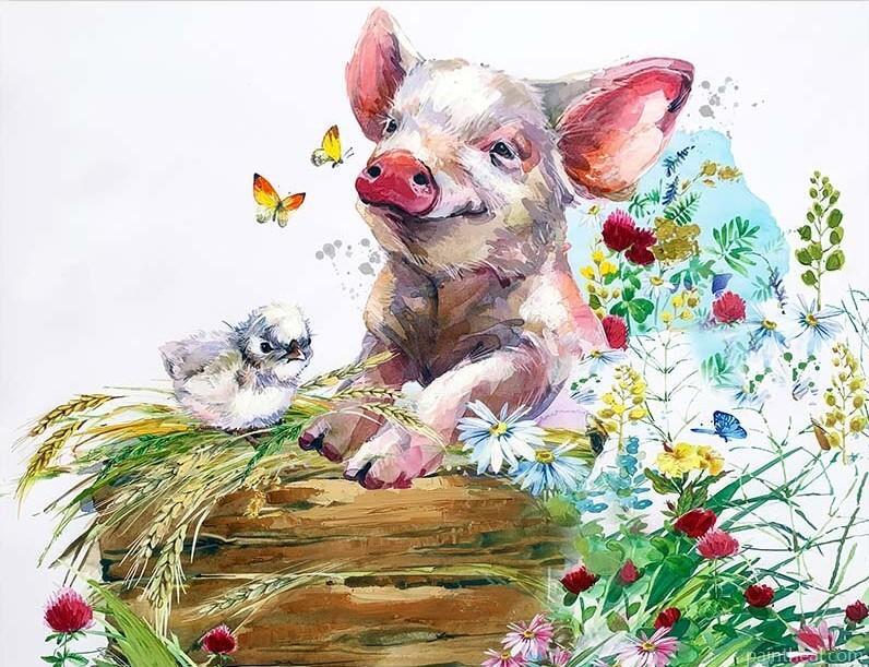 Pig and Bird Animals Painting By Numbers Kits