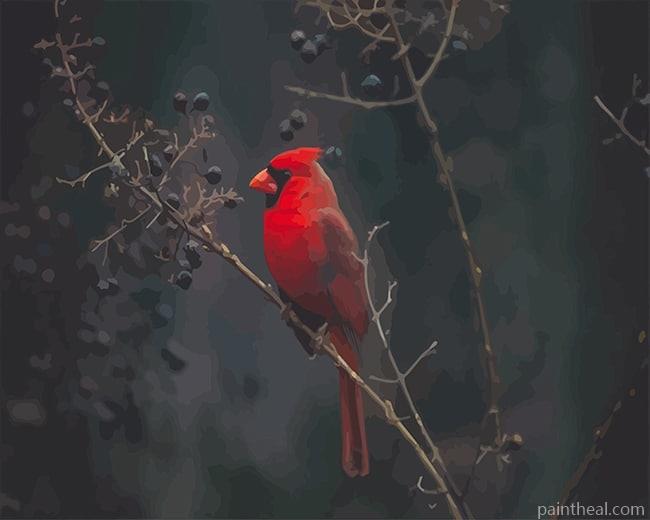 Red Cardinal Bird NEW Painting By Numbers Kits