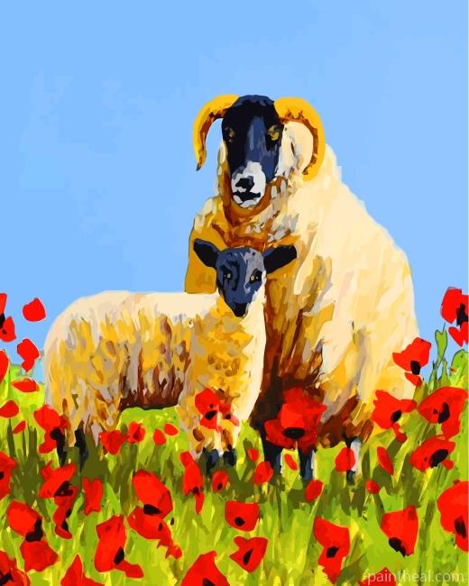 Sheep And Poppies Painting By Numbers Kits