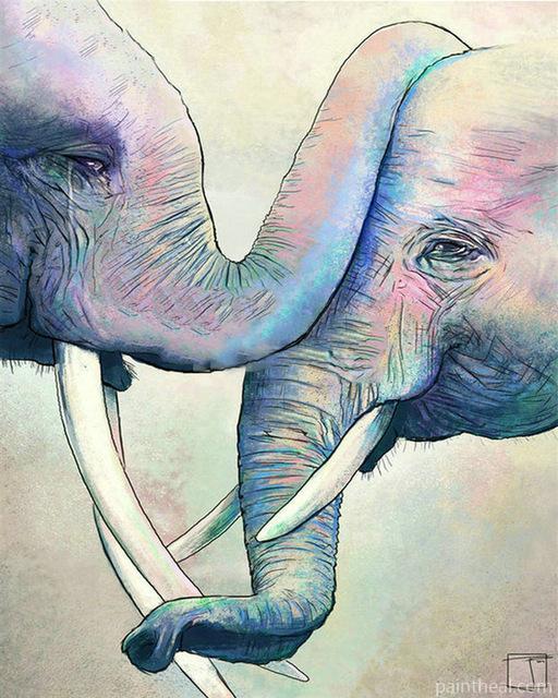Elephants Greeting Animals Painting By Numbers Kits