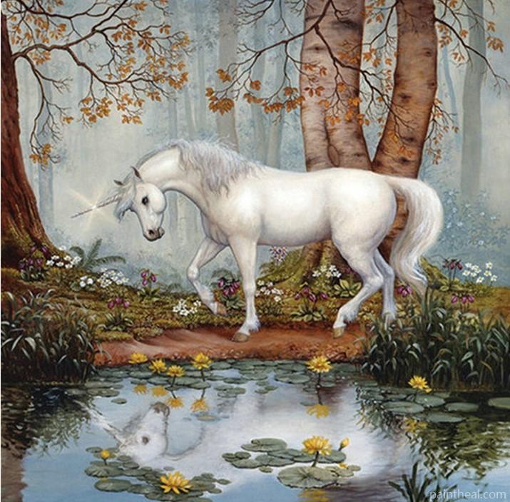 Horse Unicorn Forest Animals Painting By Numbers Kits