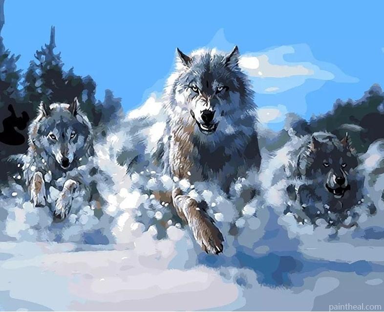 Wolf Pack in Snow Animals Painting By Numbers Kits