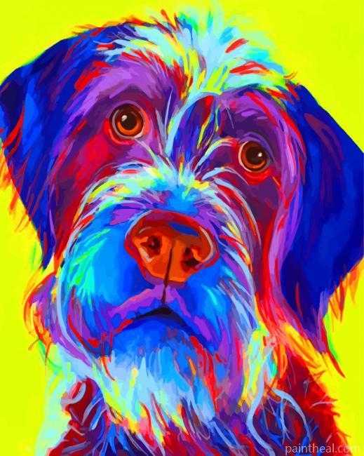 Wirehaired Pointing Griffon Dog Painting By Numbers Kits