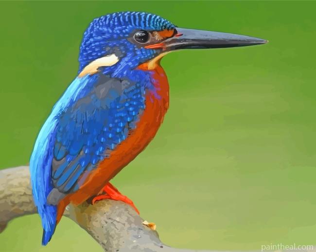 Blue Kingfisher Bird Painting By Numbers Kits