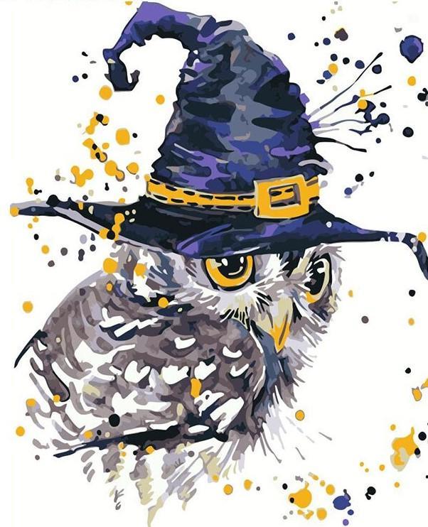 Magic Owl Birds Painting By Numbers Kits