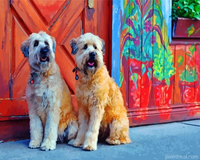 Soft Coated Wheaten Terriers Painting By Numbers Kits