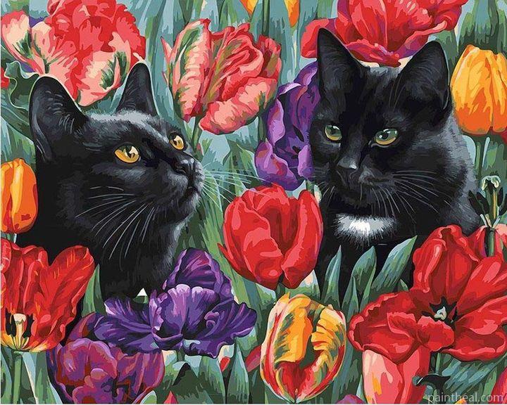 Black Cats Amongst the Tulips Animals Painting By Numbers Kits