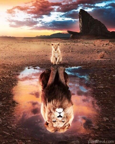 Lion Idol Animals Painting By Numbers Kits