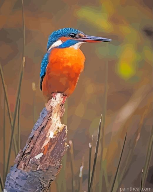 Kingfisher Bird- Painting By Numbers Kits