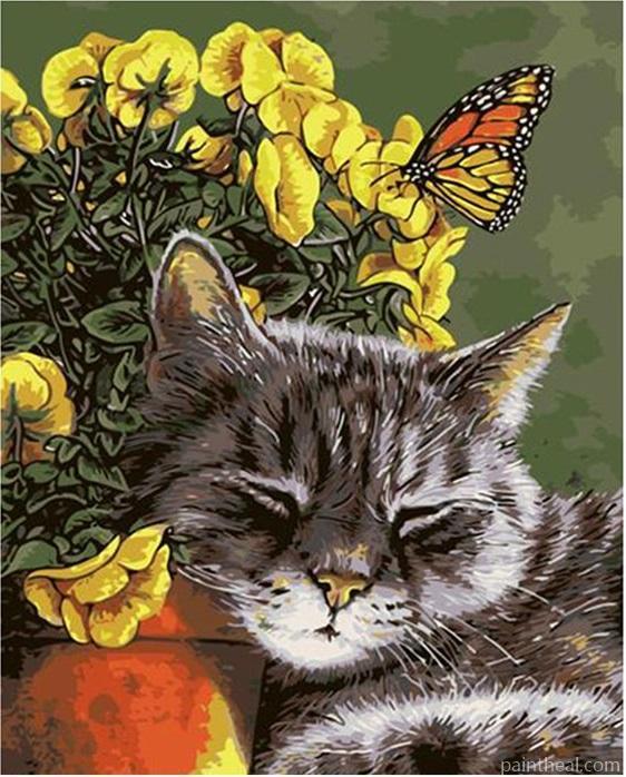 Cat And Butterfly Animals Painting By Numbers Kits