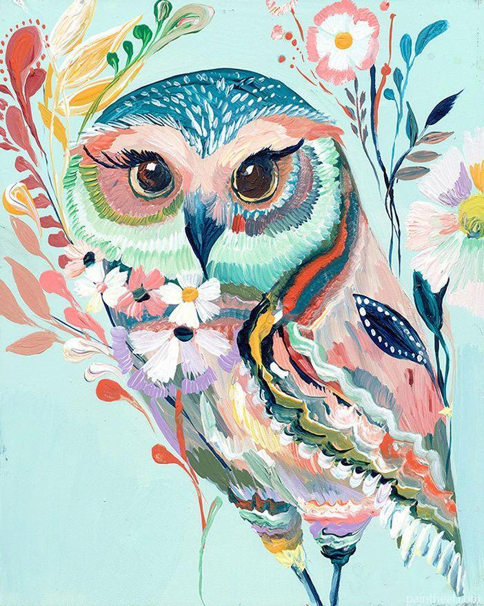 Colorful Owl Birds Painting By Numbers Kits
