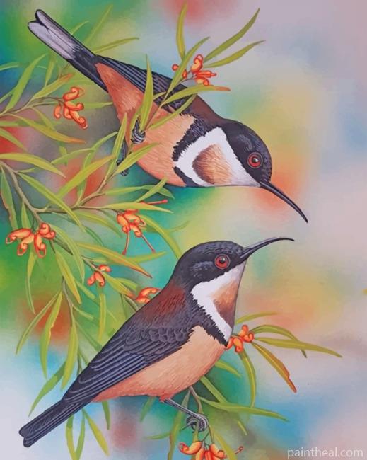 Bee Hummingbirds Painting By Numbers Kits