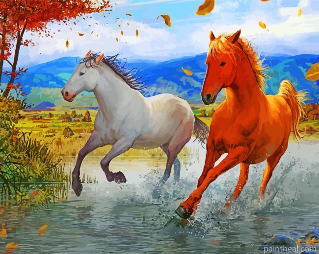 Brown And White Horses Painting By Numbers Kits