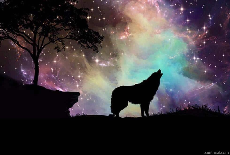 Wolf With Northern Lights Animals Painting By Numbers Kits
