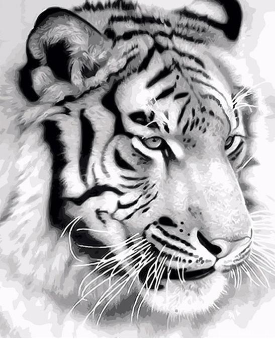 Majestic Tiger Animals Painting By Numbers Kits