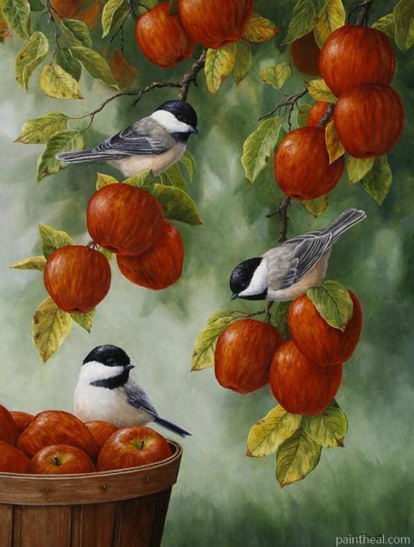 Apple Tree with Bird Birds Painting By Numbers Kits