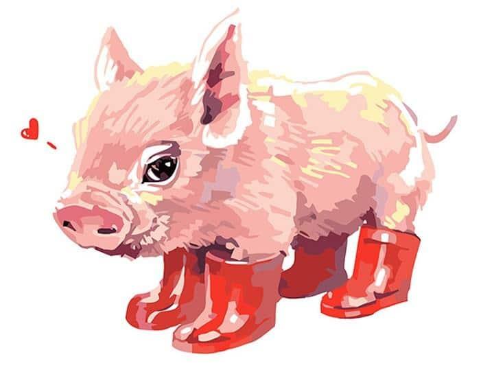 Pink Pig Animals Painting By Numbers Kits