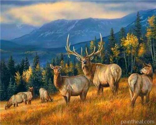 Wild Deer Groupe Animals Painting By Numbers Kits