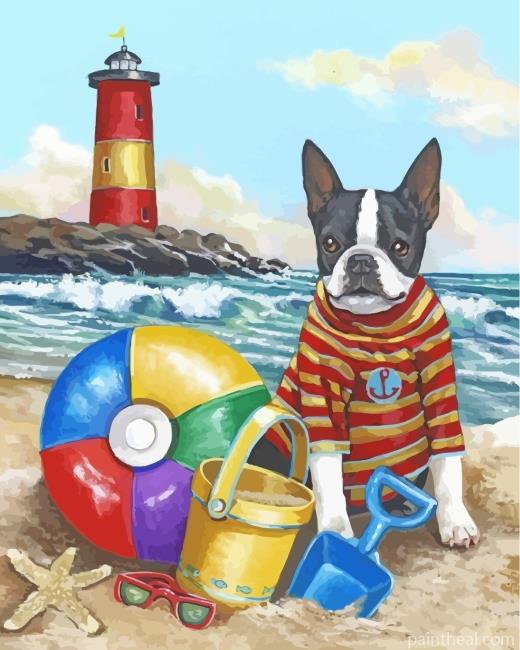 Summertime With Boston Terrier Painting By Numbers Kits