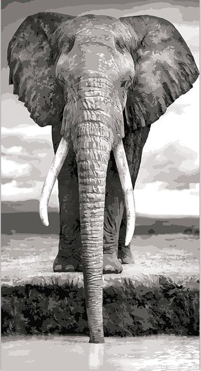Elephant Animals Painting By Numbers Kits