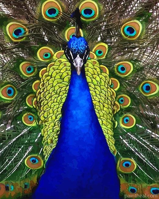 Blue Golden Peacock Bird NEW Painting By Numbers Kits