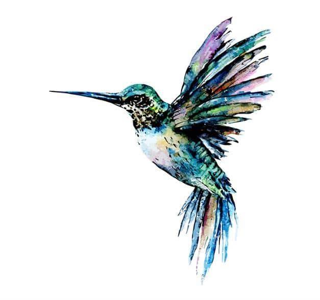 Hummingbird In Blue Green Colors Painting By Numbers Kits