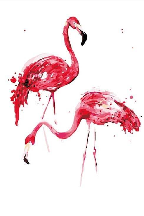 Coloring Flamingo Birds Painting By Numbers Kits