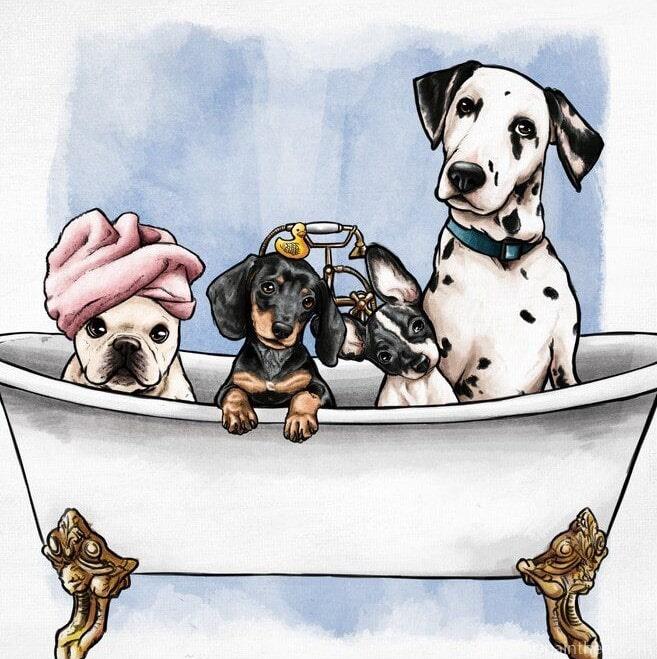 Dogs in the Tub Animals Painting By Numbers Kits