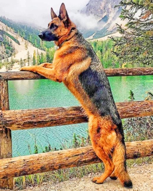 Majestic German Shepherd NEW Painting By Numbers Kits